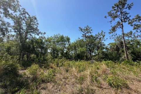 Land in Bradenton, Florida № 1716965 - photo 19