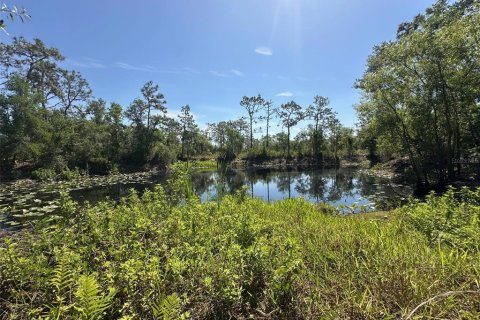 Land in Bradenton, Florida № 1716965 - photo 10