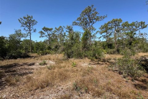 Land in Bradenton, Florida № 1716965 - photo 18