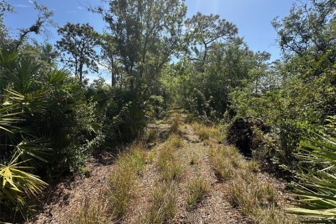Land in Bradenton, Florida № 1716965 - photo 12