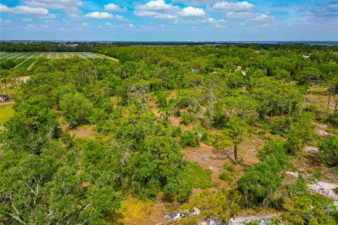 Land in Bradenton, Florida № 1716965 - photo 5