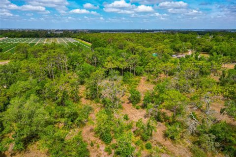 Land in Bradenton, Florida № 1716965 - photo 6