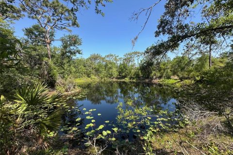 Land in Bradenton, Florida № 1716965 - photo 11