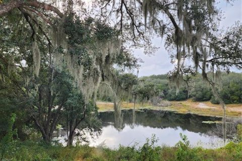 Villa ou maison à louer à Lady Lake, Floride: 3 chambres, 108.97 m2 № 2413604 - photo 17