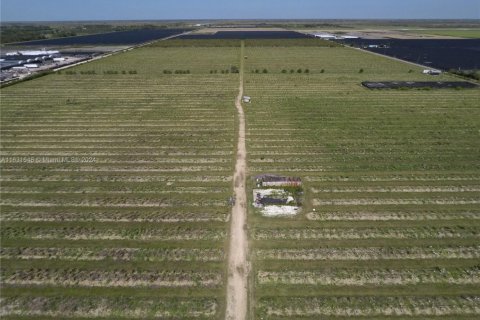 Commercial property in Miami, Florida № 1870017 - photo 2