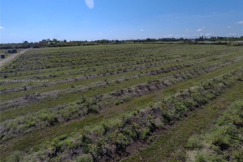 Commercial property in Miami, Florida № 1870017 - photo 10