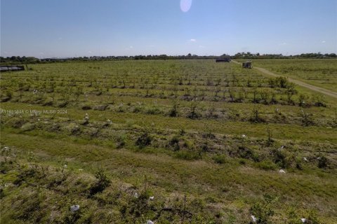 Commercial property in Miami, Florida № 1870017 - photo 8