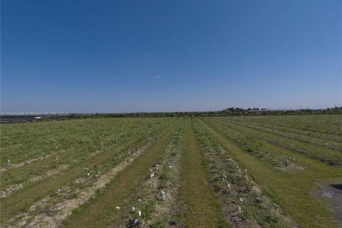 Commercial property in Miami, Florida № 1870017 - photo 5