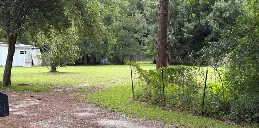 Terrain à Wesley Chapel, Floride № 2230181