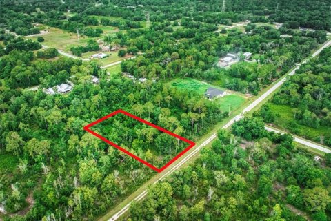 Land in Avon Park, Florida № 2158805 - photo 2