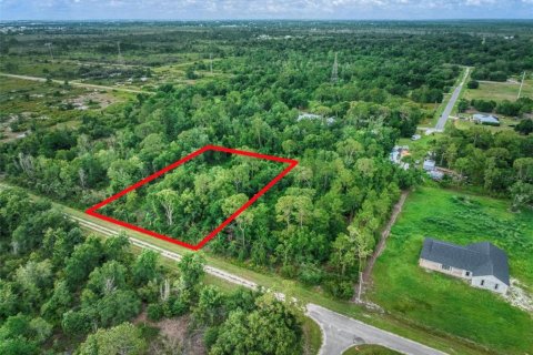 Land in Avon Park, Florida № 2158805