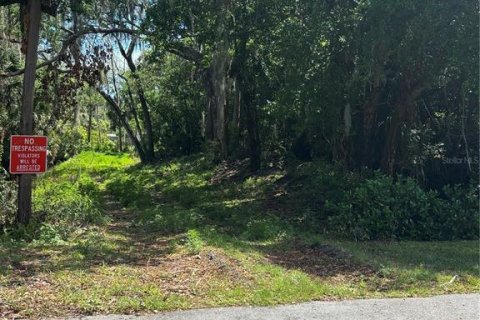 Terreno en venta en New Smyrna Beach, Florida № 2097756 - foto 7