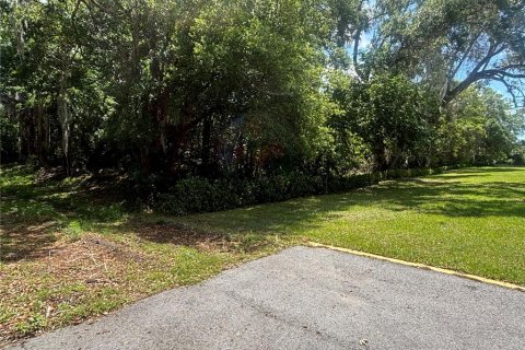 Terreno en venta en New Smyrna Beach, Florida № 2097756 - foto 5