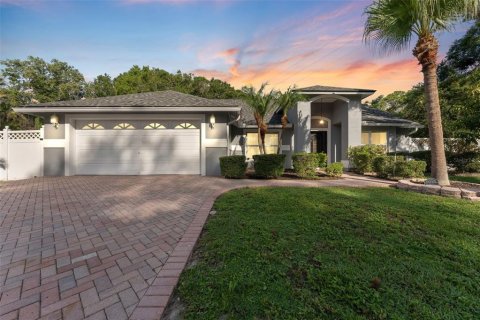 Villa ou maison à vendre à Tampa, Floride: 4 chambres, 189.8 m2 № 1778576 - photo 1