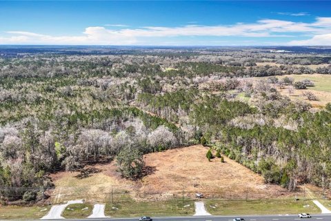 Terreno en venta en Brooksville, Florida № 223081 - foto 16