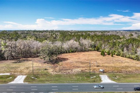 Terreno en venta en Brooksville, Florida № 223081 - foto 17