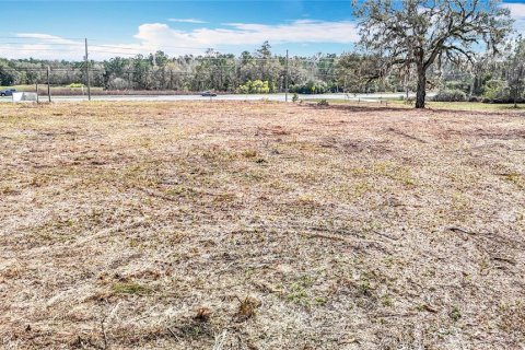 Terreno en venta en Brooksville, Florida № 223081 - foto 20