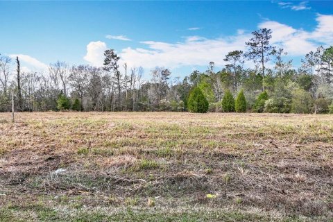 Terreno en venta en Brooksville, Florida № 223081 - foto 21