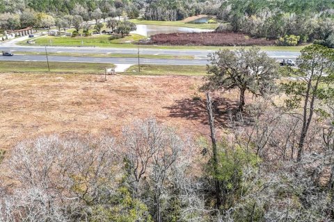 Terreno en venta en Brooksville, Florida № 223081 - foto 23