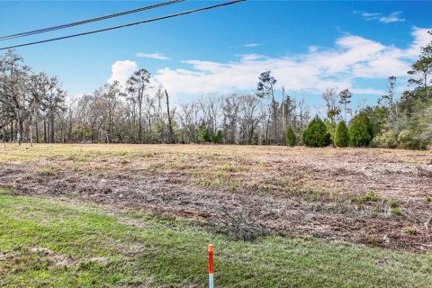 Terreno en venta en Brooksville, Florida № 223081 - foto 3