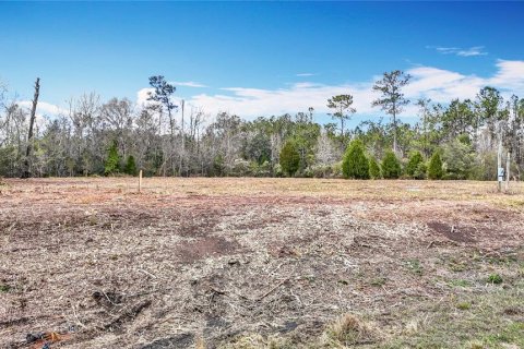 Terreno en venta en Brooksville, Florida № 223081 - foto 18
