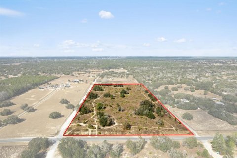 Terrain à Homosassa, Floride № 2131909