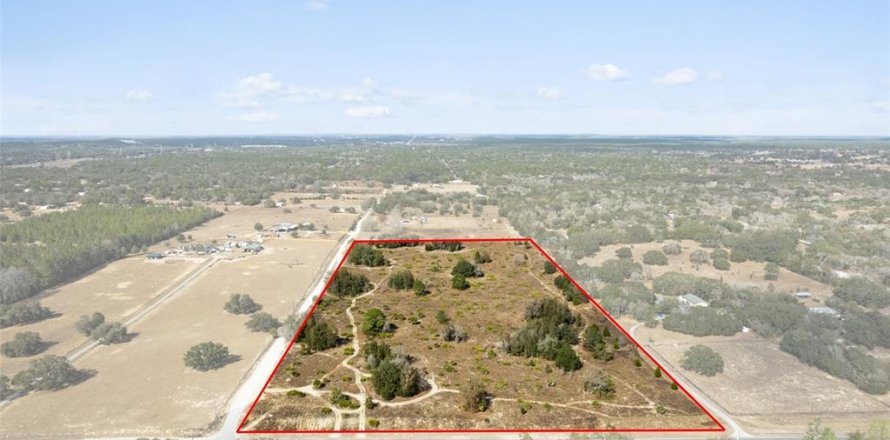 Terrain à Homosassa, Floride № 2131909