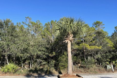 Land in Panama City Beach, Florida № 558248 - photo 1