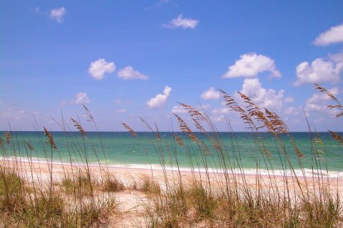 Condo in Sarasota, Florida, 3 bedrooms  № 2151676 - photo 13