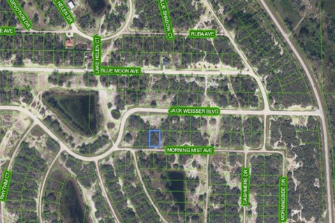Terreno en venta en Lake Placid, Florida № 2211604 - foto 2
