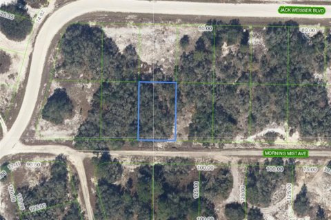 Land in Lake Placid, Florida № 2211604