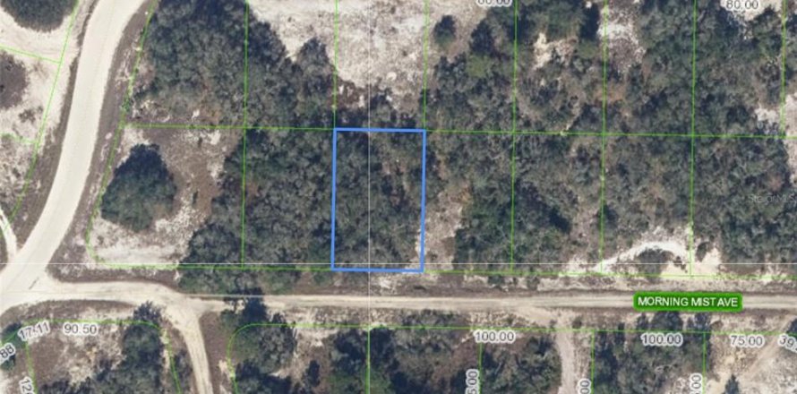 Terreno en Lake Placid, Florida № 2211604