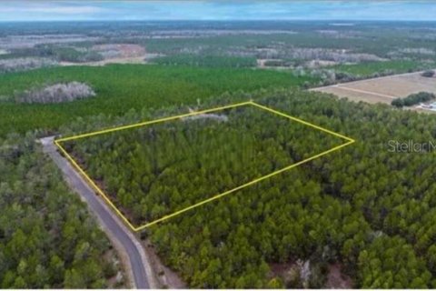 Land in Earleton, Florida № 2217450