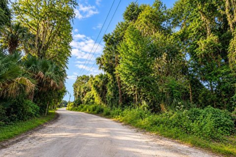 House in Citra, Florida 2 bedrooms, 154.5 sq.m. № 2390921 - photo 13