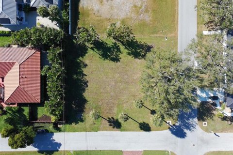 Land in Venice, Florida № 2097115 - photo 2
