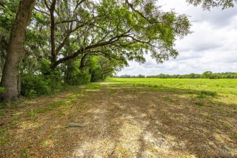 Terreno en venta en Newberry, Florida № 1609959 - foto 5