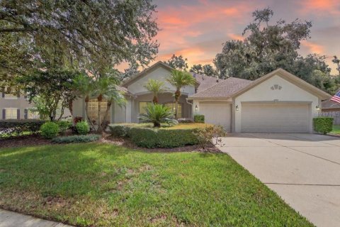 House in Seffner, Florida 4 bedrooms, 318 sq.m. № 1879658 - photo 1