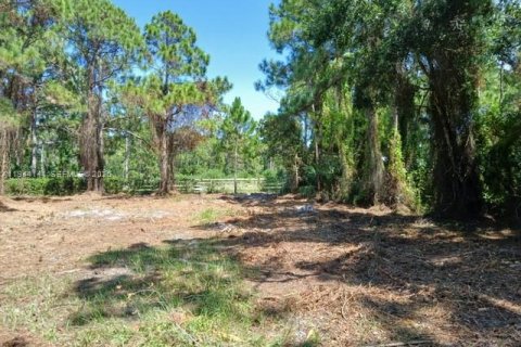 Terrain à St. Lucie, Floride № 2076313