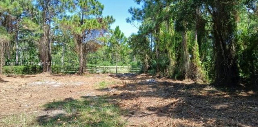 Terrain à St. Lucie, Floride № 2076313