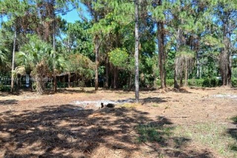 Terrain à vendre à St. Lucie, Floride № 2076313 - photo 6