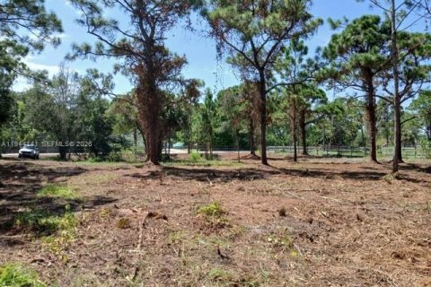 Terrain à vendre à St. Lucie, Floride № 2076313 - photo 4