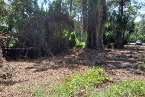 Terrain à vendre à St. Lucie, Floride № 2076313 - photo 3