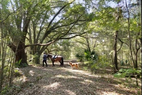 Land in Archer, Florida № 1780947 - photo 1