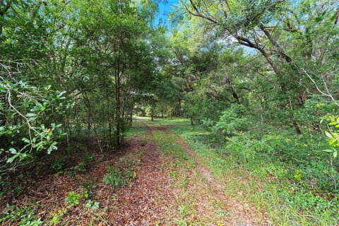 Land in Archer, Florida № 1780947 - photo 17
