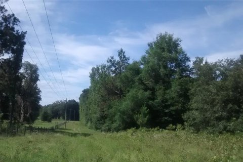 Land in Archer, Florida № 1780947 - photo 23