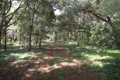 Land in Archer, Florida № 1780947 - photo 20