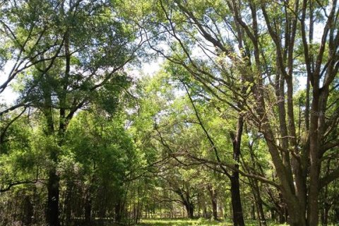 Land in Archer, Florida № 1780947 - photo 27