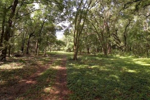 Land in Archer, Florida № 1780947 - photo 24