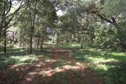 Land in Archer, Florida № 1780947 - photo 14