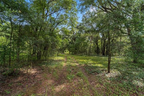 Land in Archer, Florida № 1780947 - photo 18